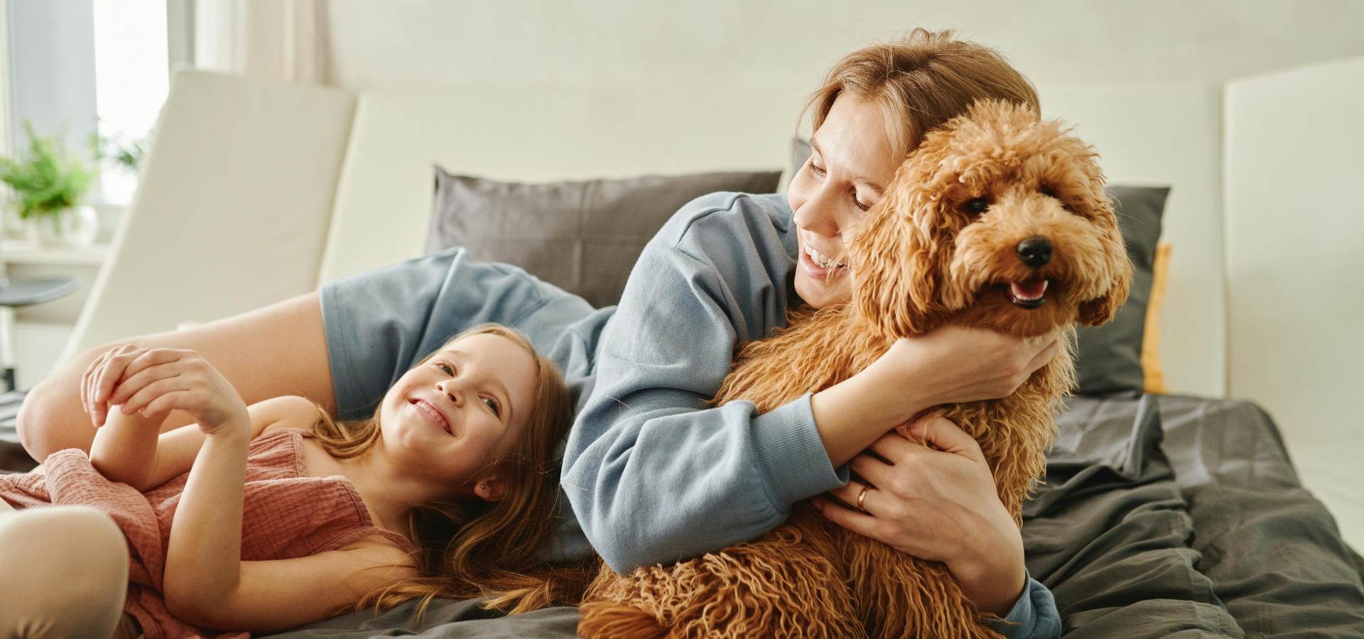 collection-banner-image