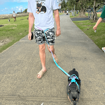 Custom Pet Portrait Print Tee – White - Paw.Q