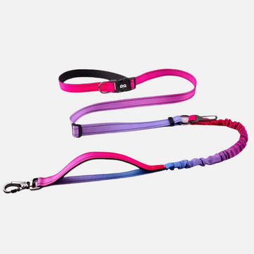 Hands - Free Dog leash – Pink Fade - Paw.Q