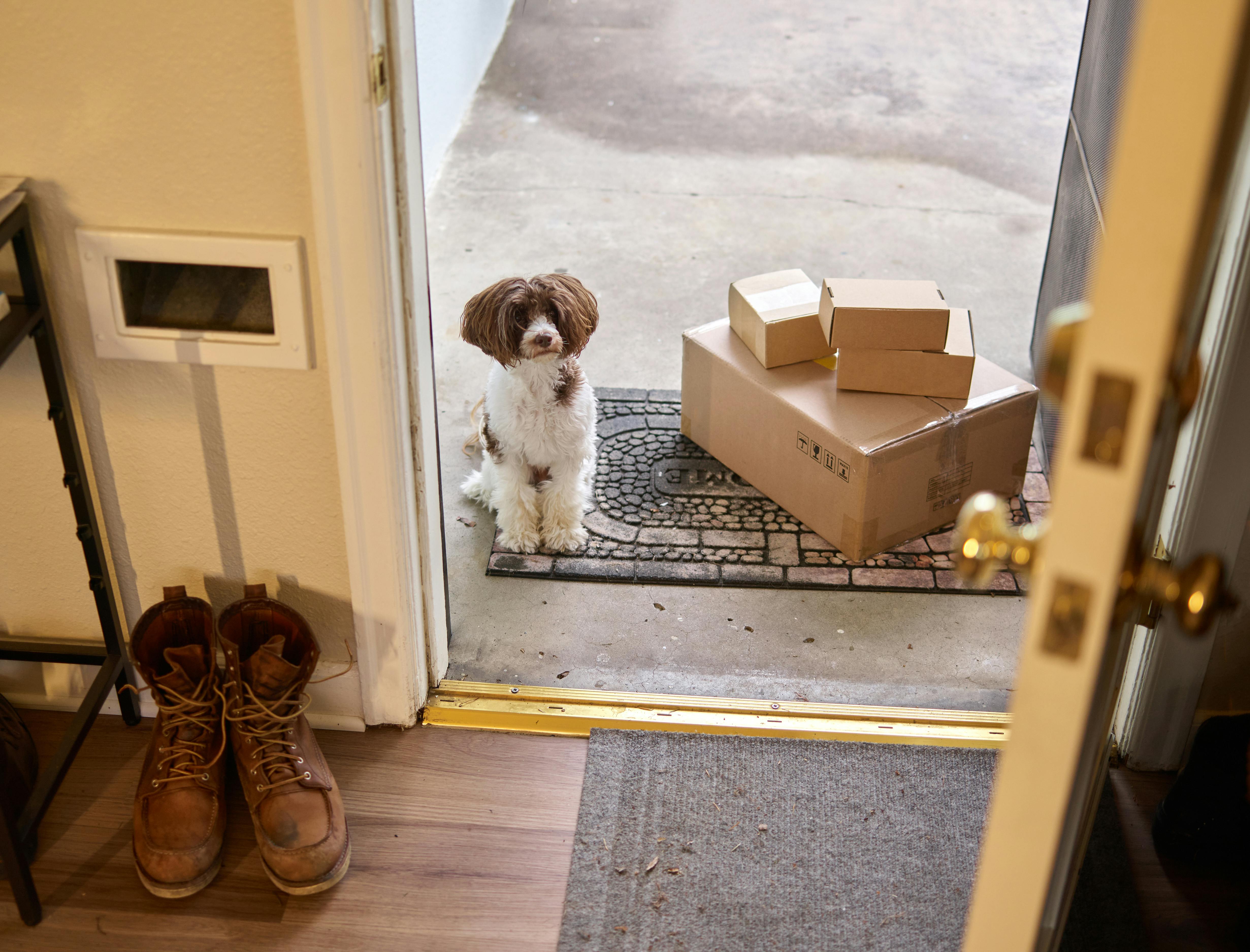 Shipping & Returns | PAW.Q Australia