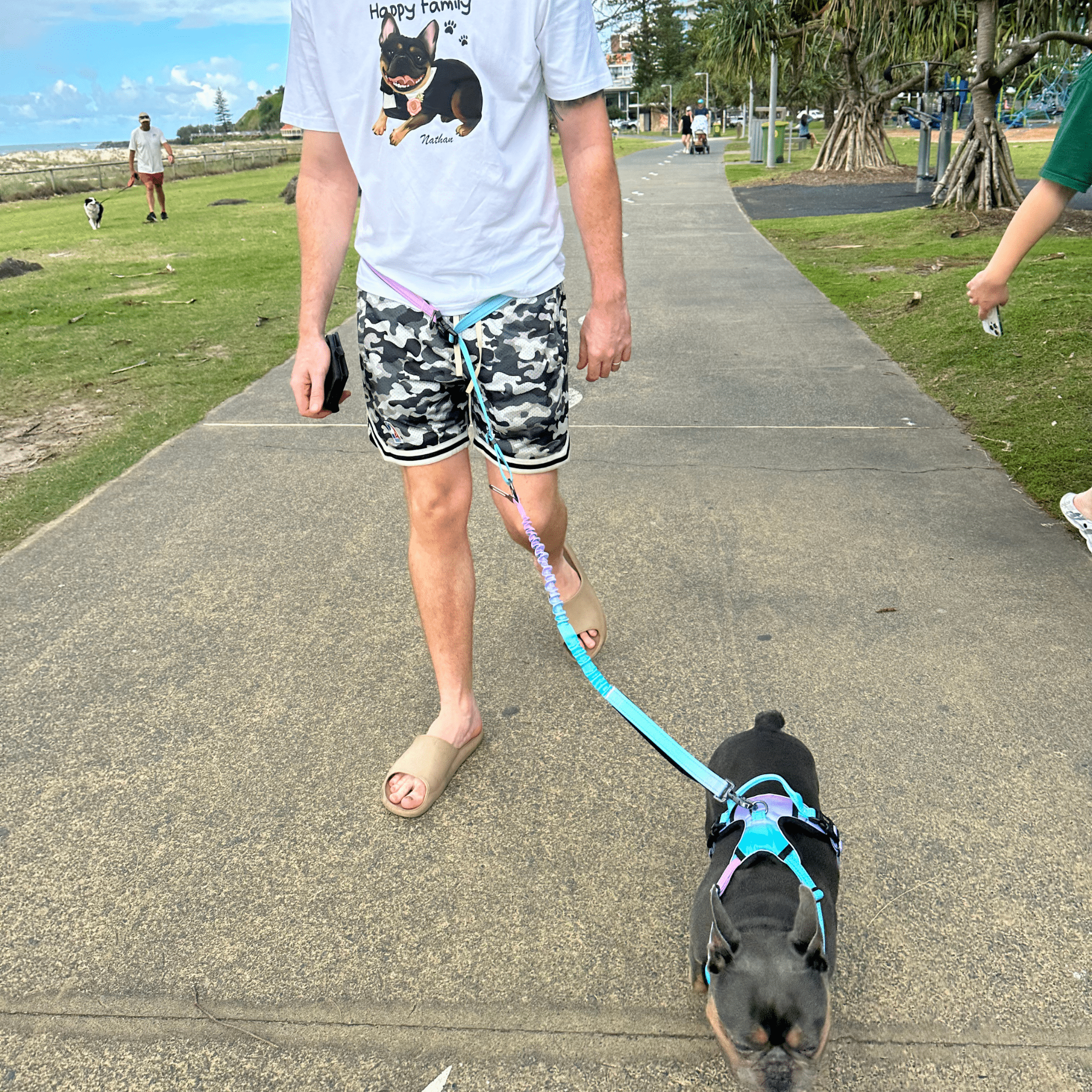 Shine Bright: Keep Your Dog Safe with LED Adventure Gear - Paw.Q