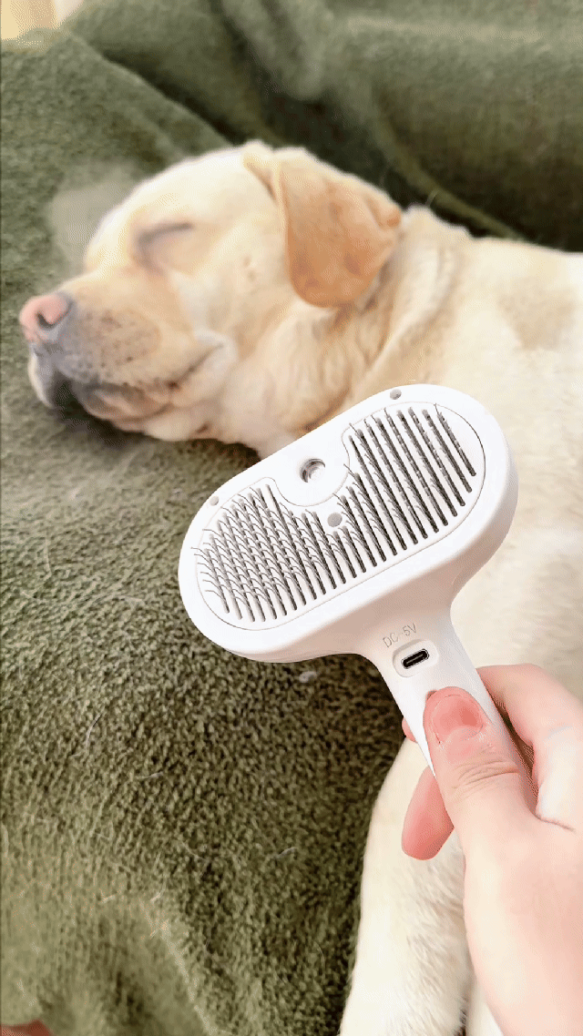 Pet Steamy Grooming Brush - White