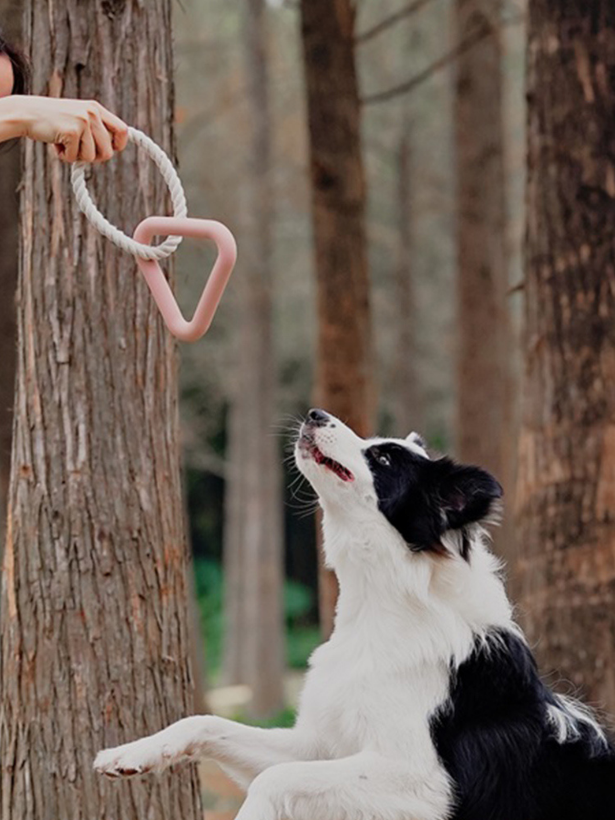 Triangle Tug Ring - Blush