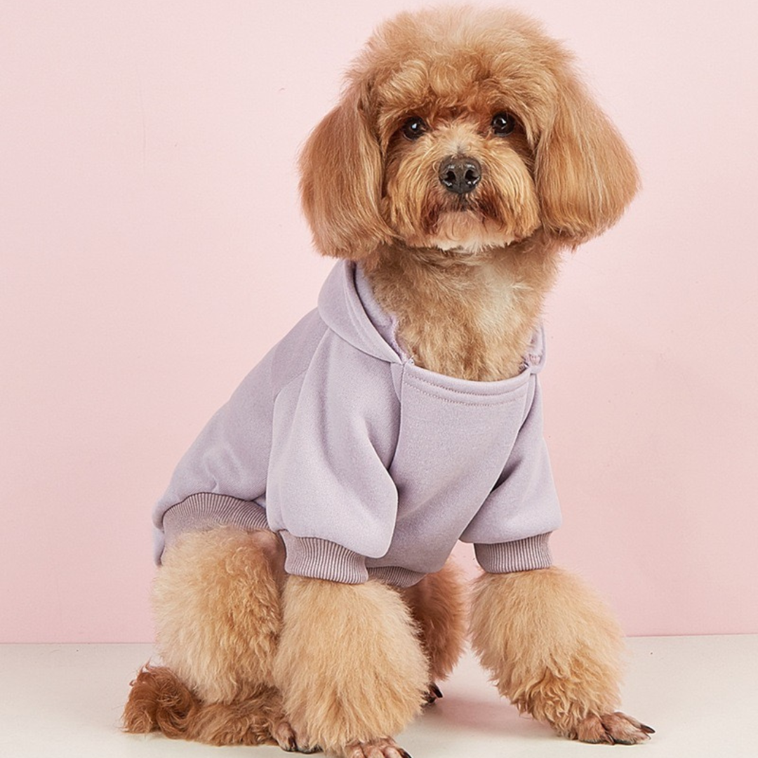 Pet Hoodie - Lilac