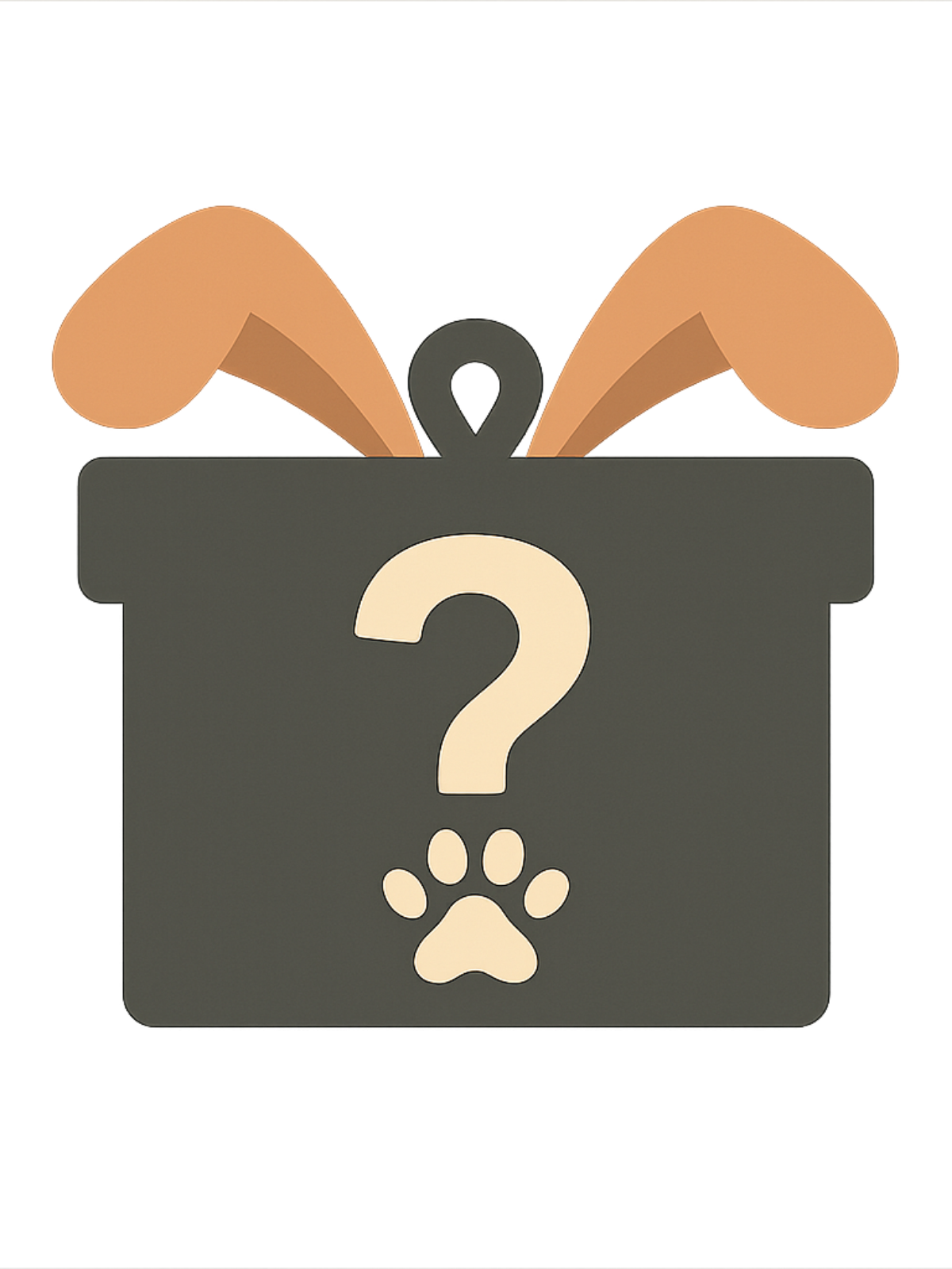 Winner Mystery Box – $400+ Value