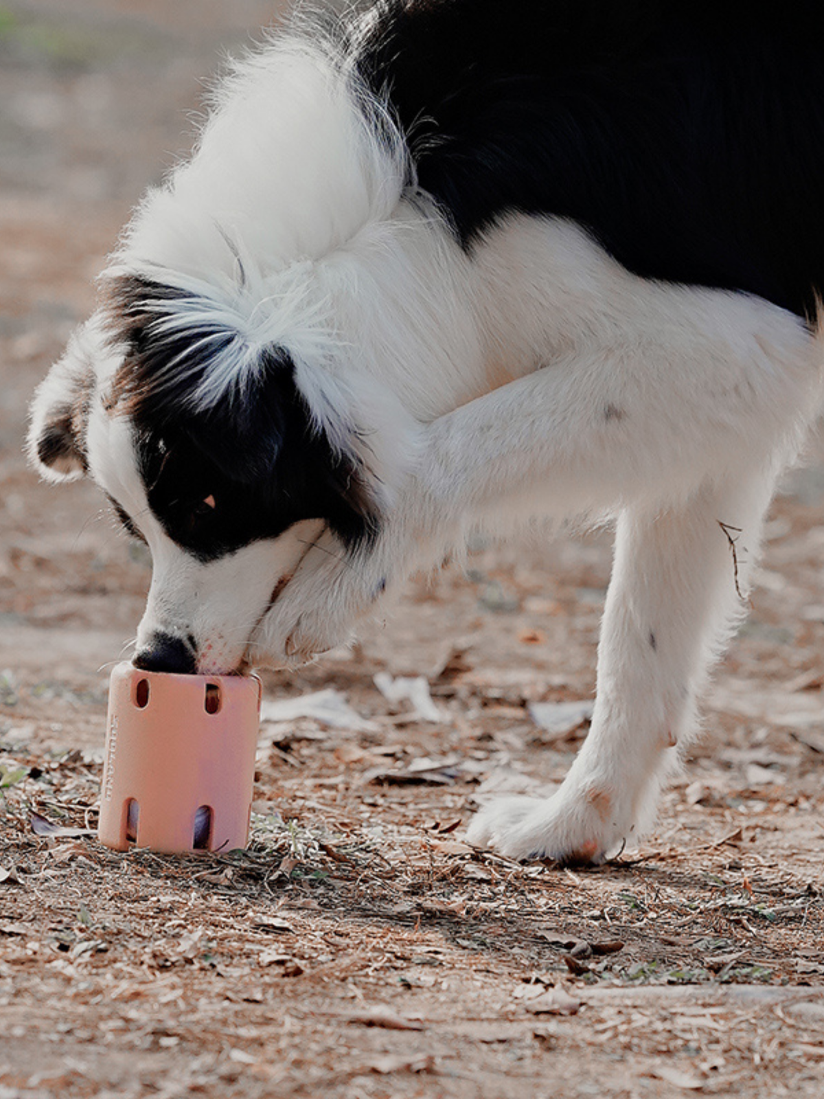 Treat Puzzle Tube - Blush
