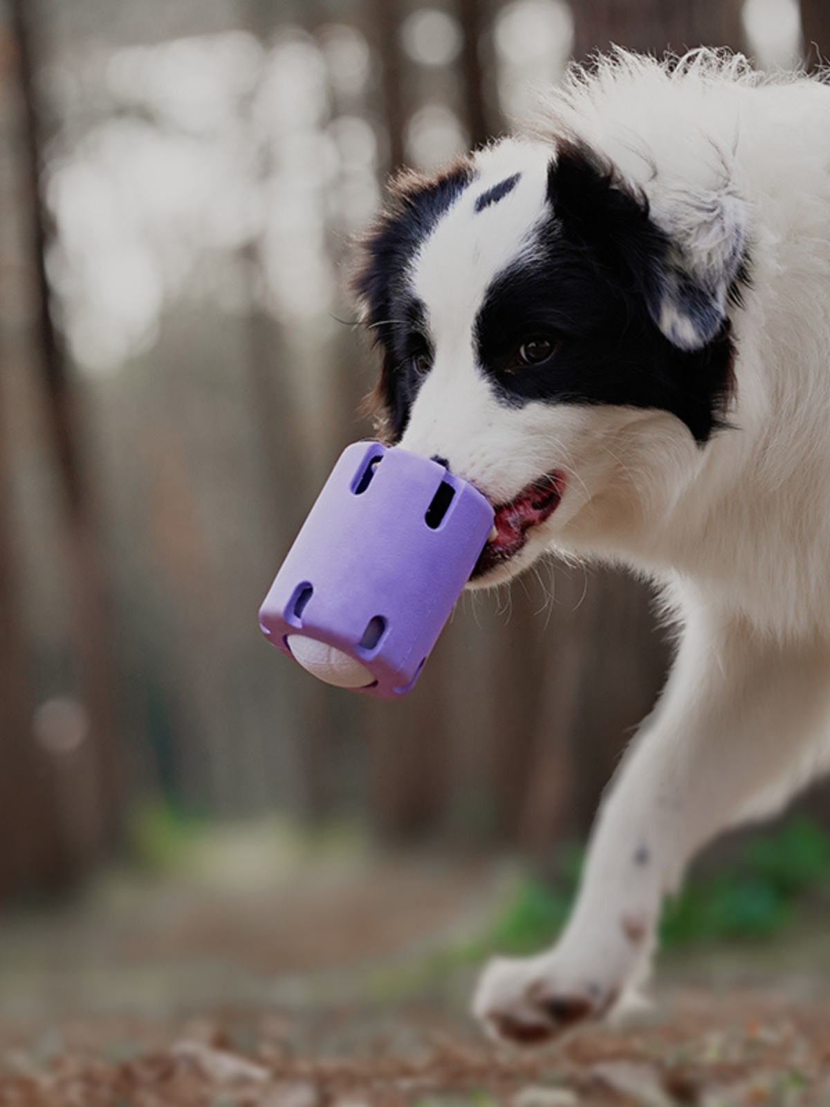 Treat Puzzle Tube - Lavender