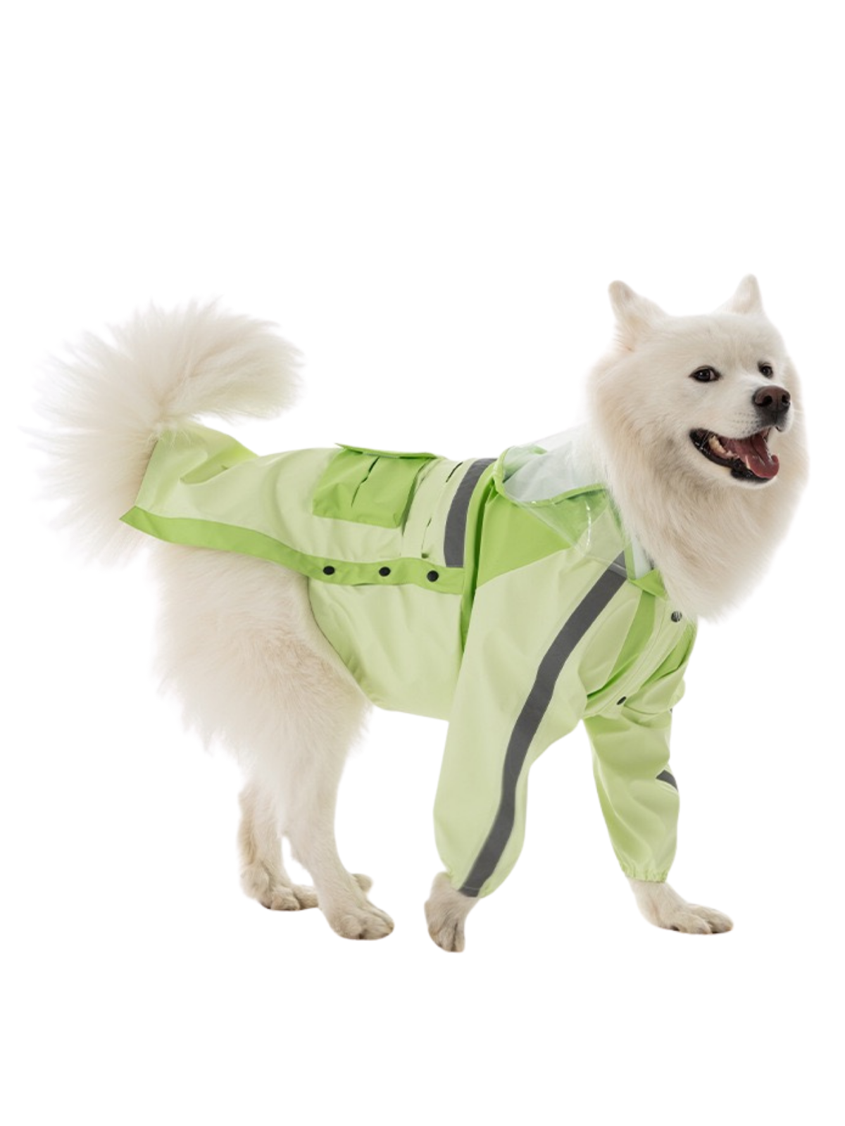 Reflective Raincoat - Pixie Green