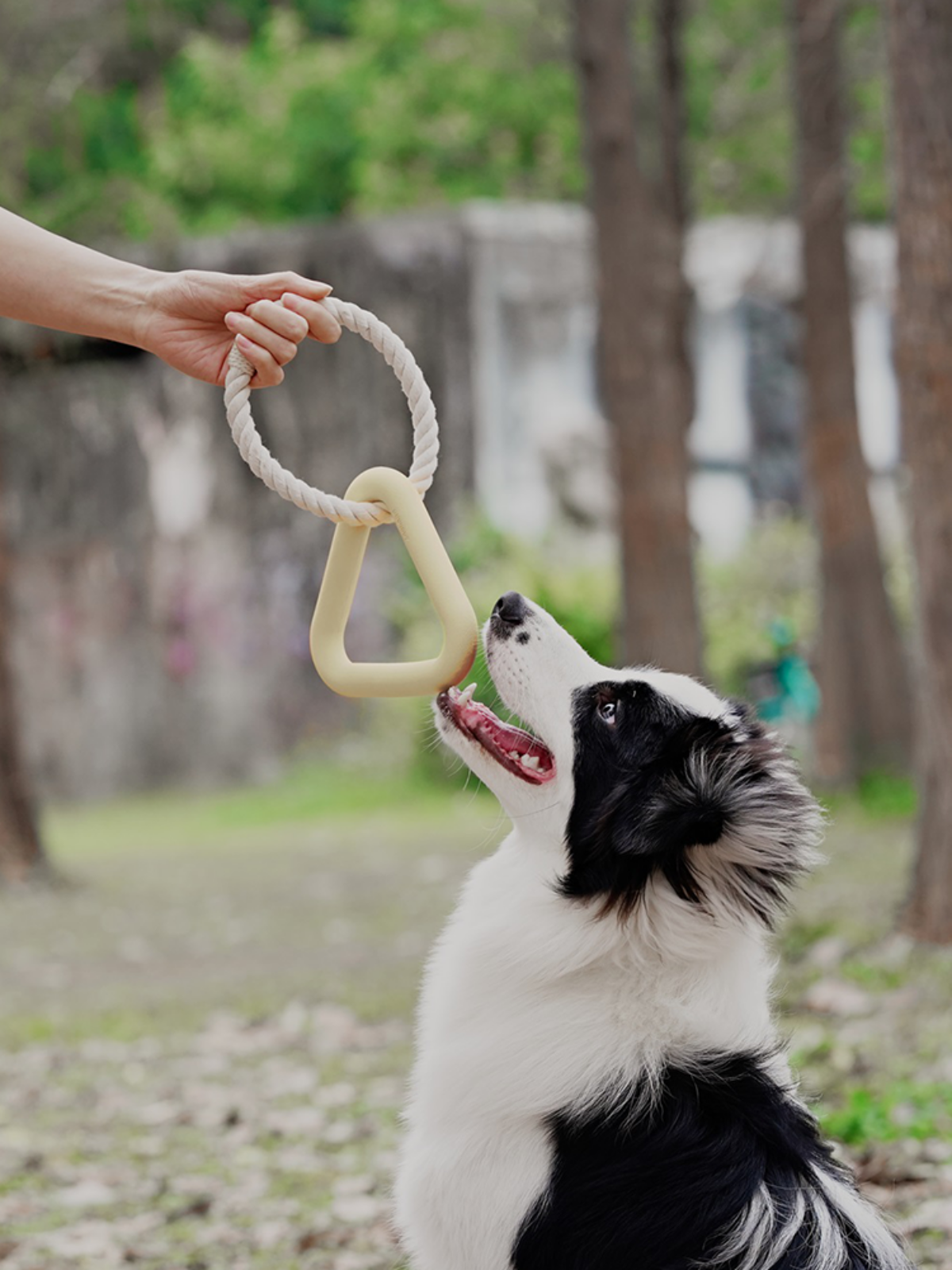 Triangle Tug Ring -  Acadia White