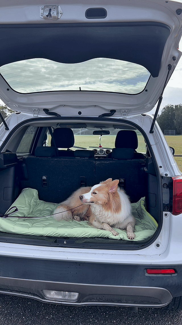 Dog Cooling Mat - Green