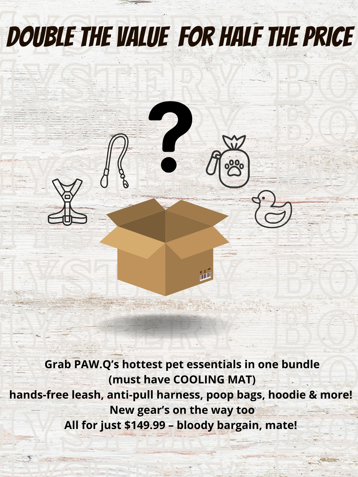 Christmas Mystery Box