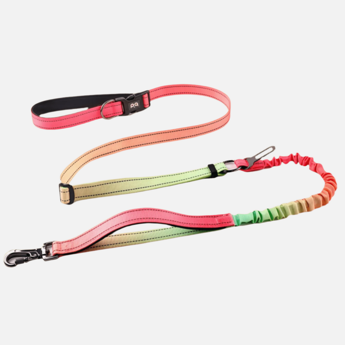 Hands - Free Dog leash – Orange Coral - Paw.Q