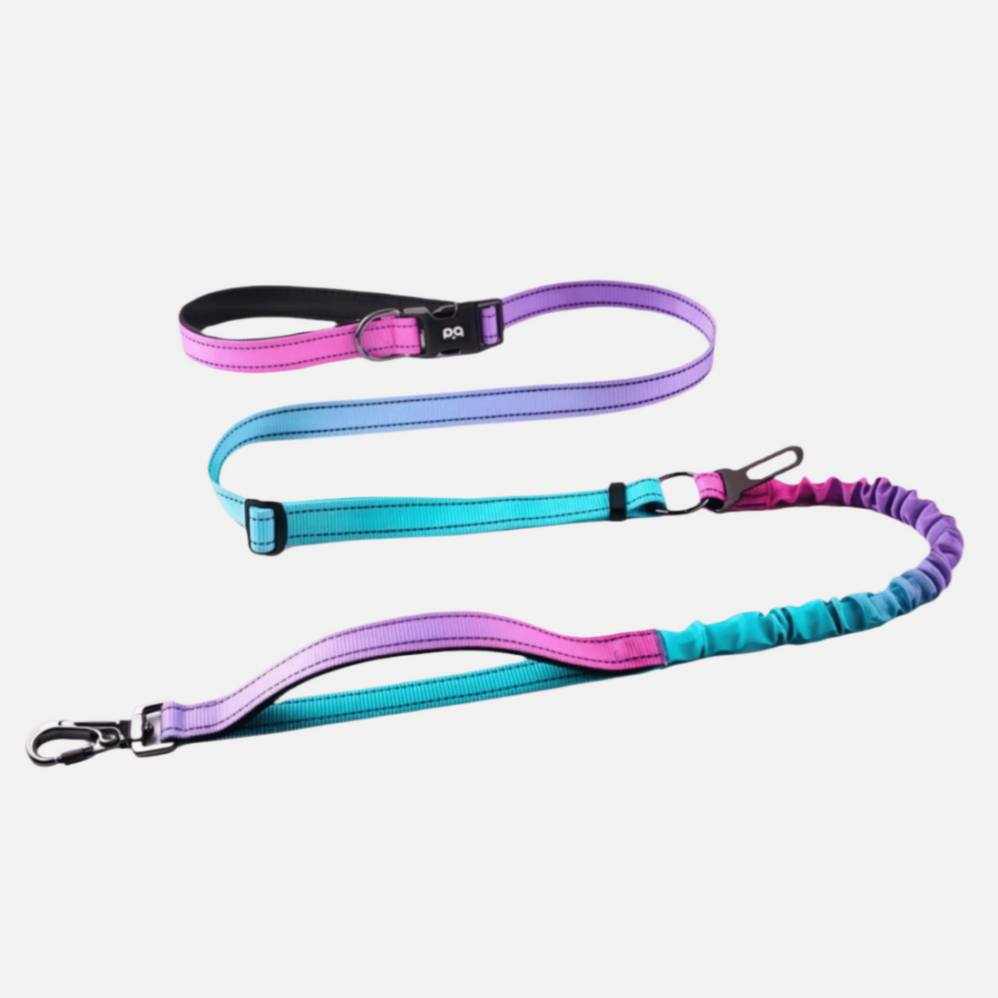 Hands - Free Dog leash – Purple Fade - Paw.Q