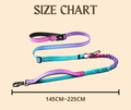 Hands - Free Dog leash – Sky Blue - Paw.Q