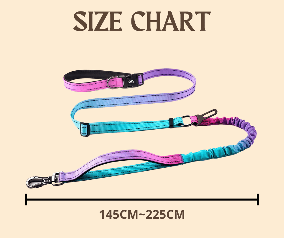 Hands - Free Dog leash – Sky Blue - Paw.Q